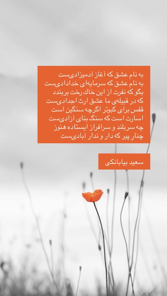  جدید ترین استوری اینستاگرام نوید خانجانی