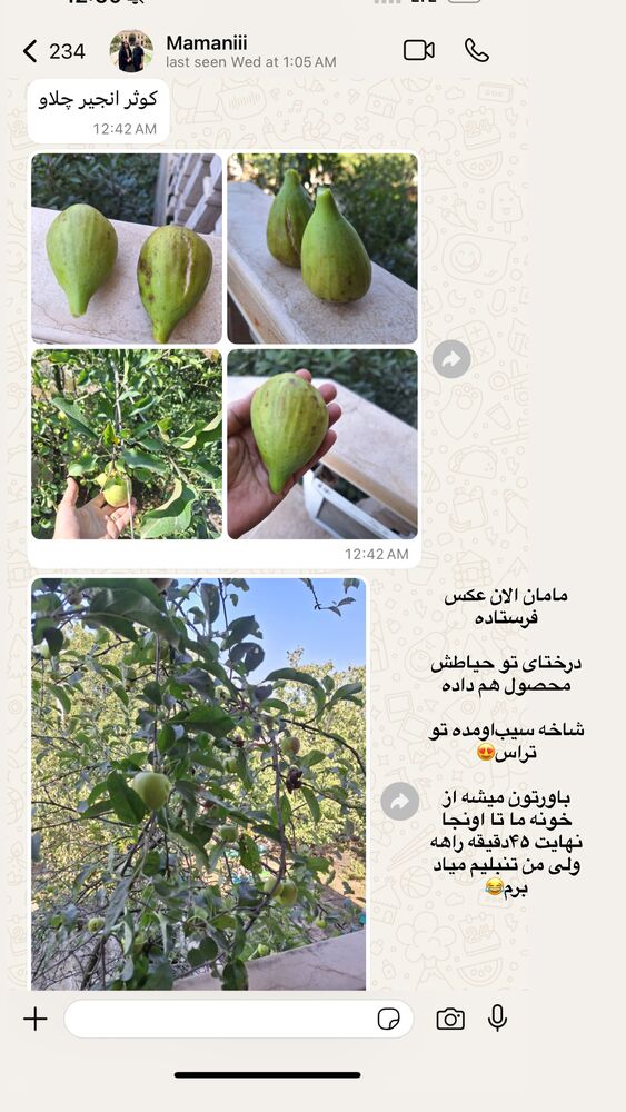  جدید ترین استوری اینستاگرام کوثر مامی