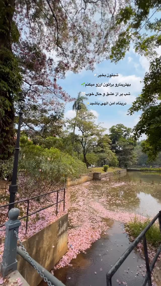  جدید ترین استوری اینستاگرام کوثر مامی