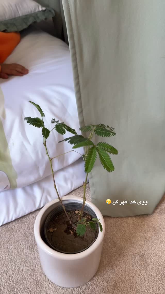  جدید ترین استوری اینستاگرام کوثر مامی