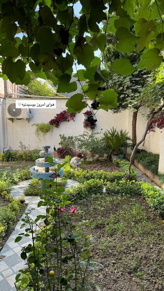  جدید ترین استوری اینستاگرام کوثر مامی