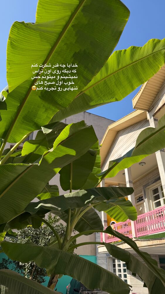  جدید ترین استوری اینستاگرام کوثر مامی
