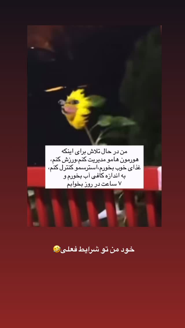  جدید ترین استوری اینستاگرام کوثر مامی