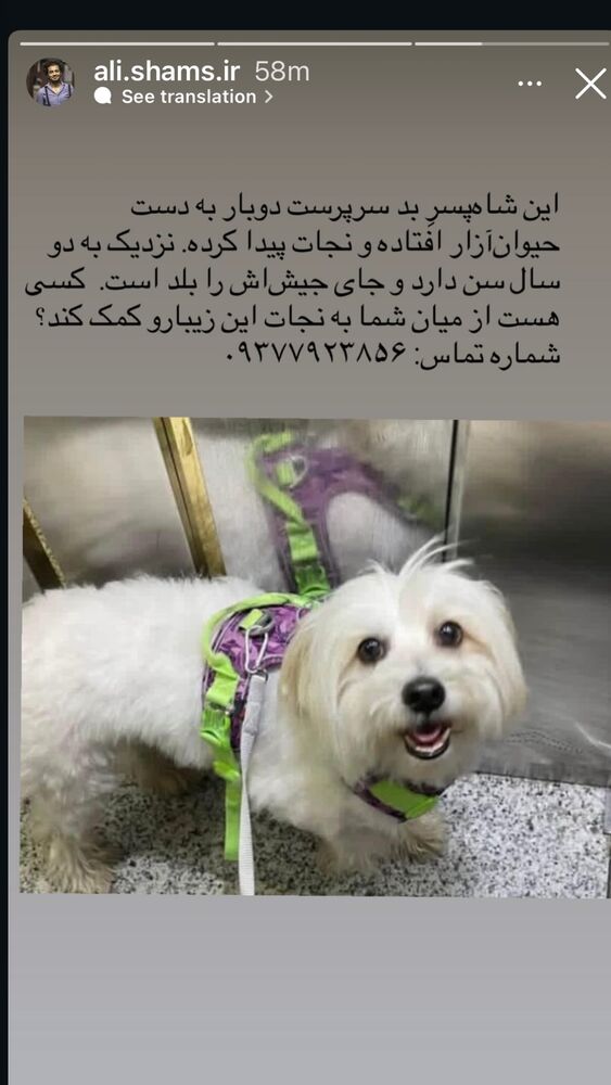  جدید ترین استوری اینستاگرام خاطره اسدی