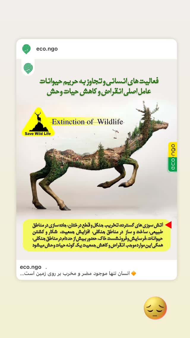  جدید ترین استوری اینستاگرام خاطره اسدی