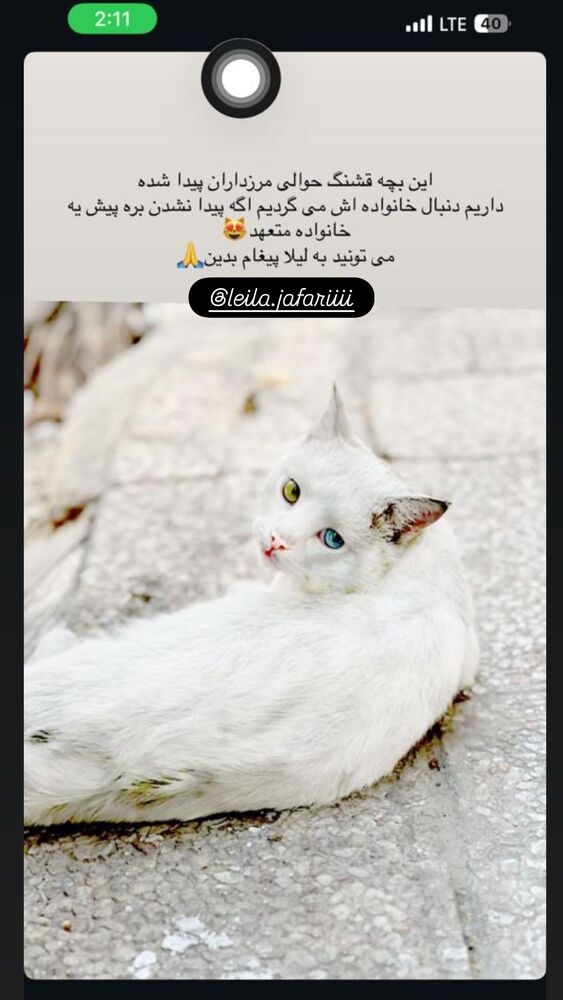  جدید ترین استوری اینستاگرام خاطره اسدی