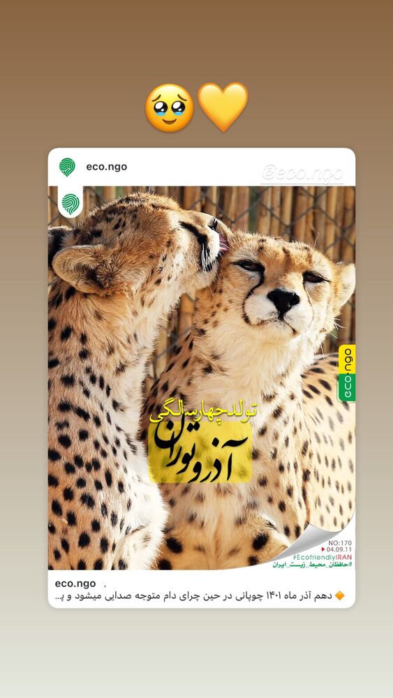  جدید ترین استوری اینستاگرام خاطره اسدی