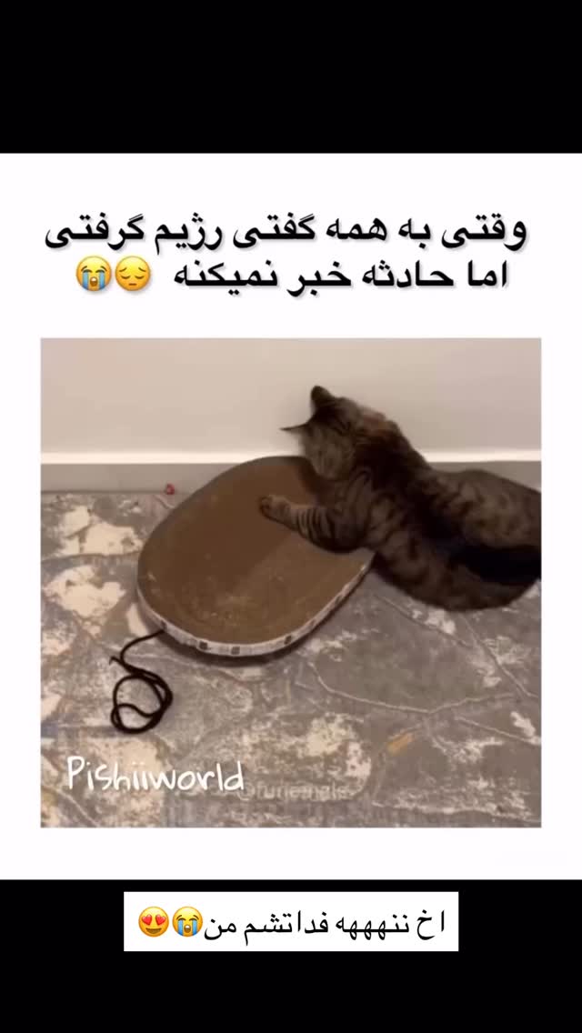  جدید ترین استوری اینستاگرام خود فاطی