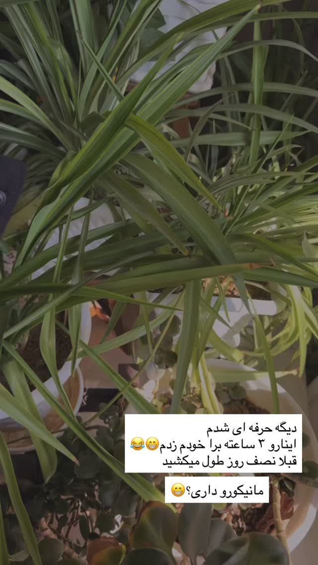  جدید ترین استوری اینستاگرام خود فاطی