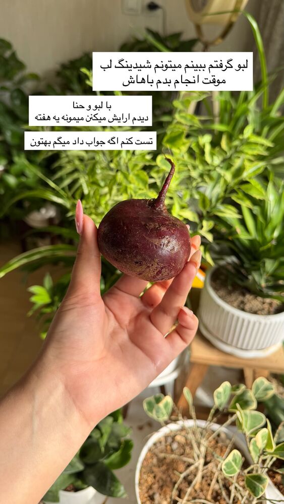  جدید ترین استوری اینستاگرام خود فاطی