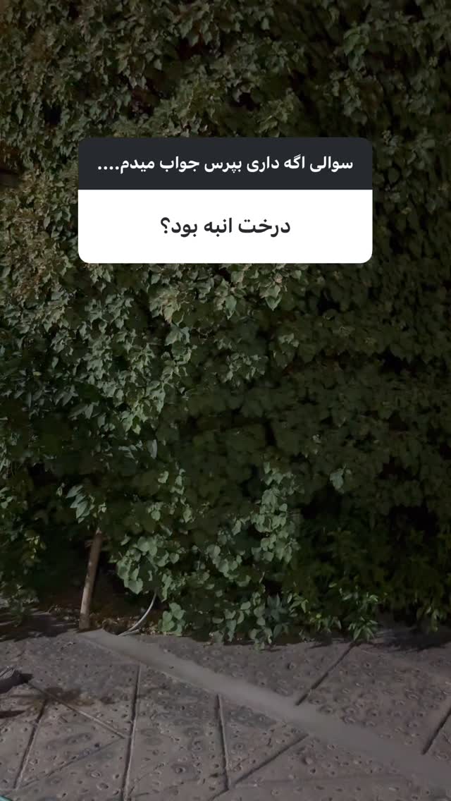  جدید ترین استوری اینستاگرام خوش خوراک