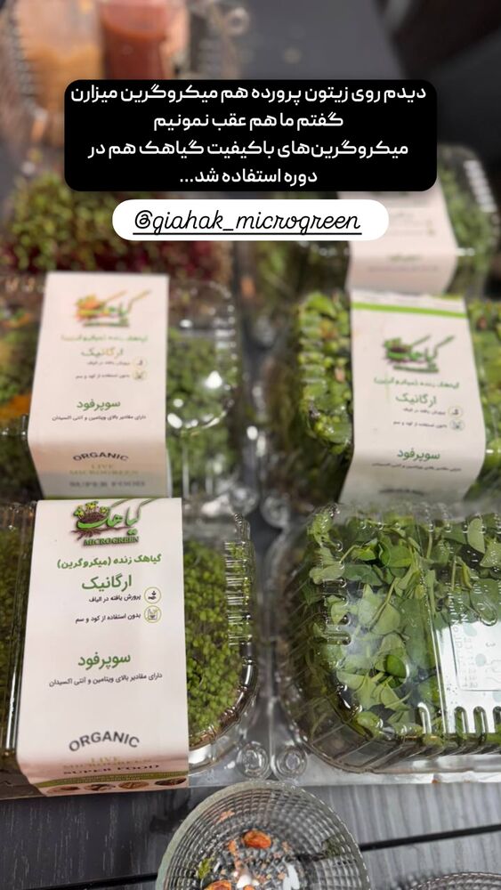  جدید ترین استوری اینستاگرام خوش خوراک