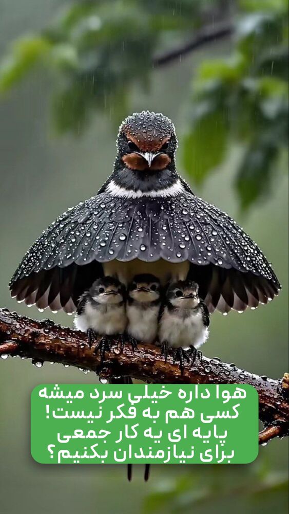  جدید ترین استوری اینستاگرام خوش خوراک