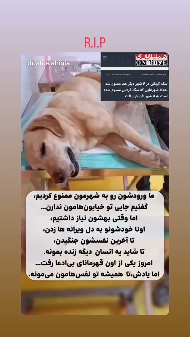  جدید ترین استوری اینستاگرام کیان مقدم