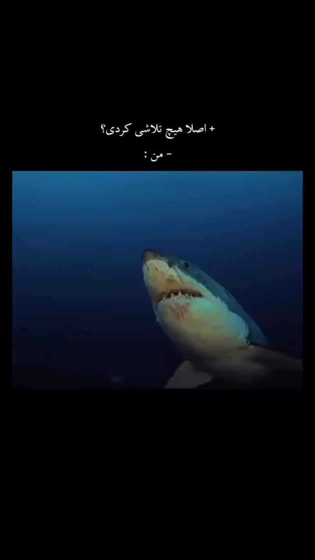  جدید ترین استوری اینستاگرام کیان مقدم