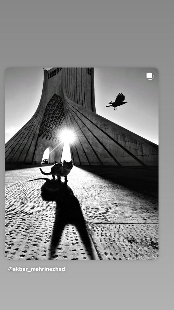  جدید ترین استوری اینستاگرام لادن مستوفی