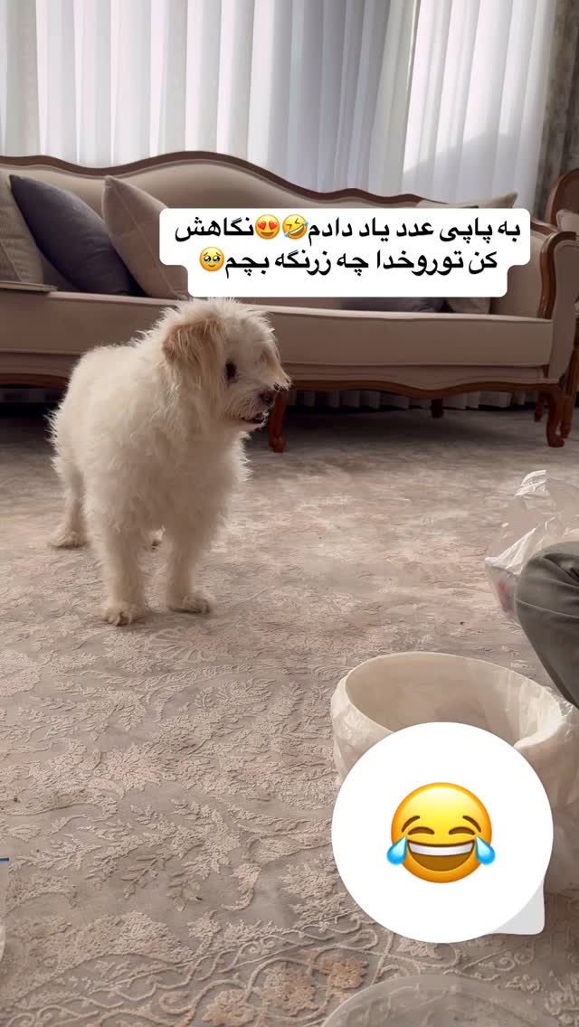  جدید ترین استوری اینستاگرام لادن