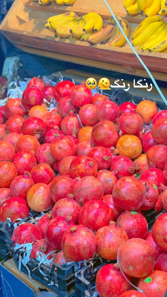  جدید ترین استوری اینستاگرام لادن