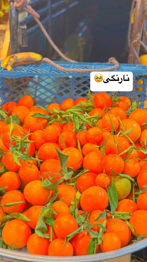  جدید ترین استوری اینستاگرام لادن
