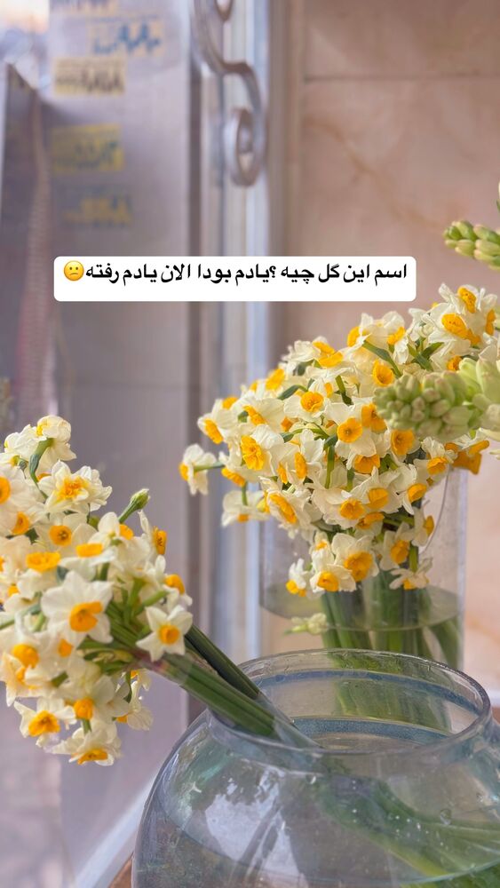  جدید ترین استوری اینستاگرام لادن