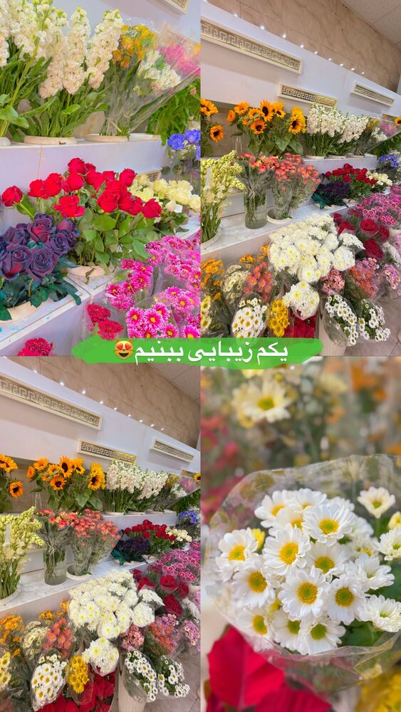 جدید ترین استوری اینستاگرام لادن