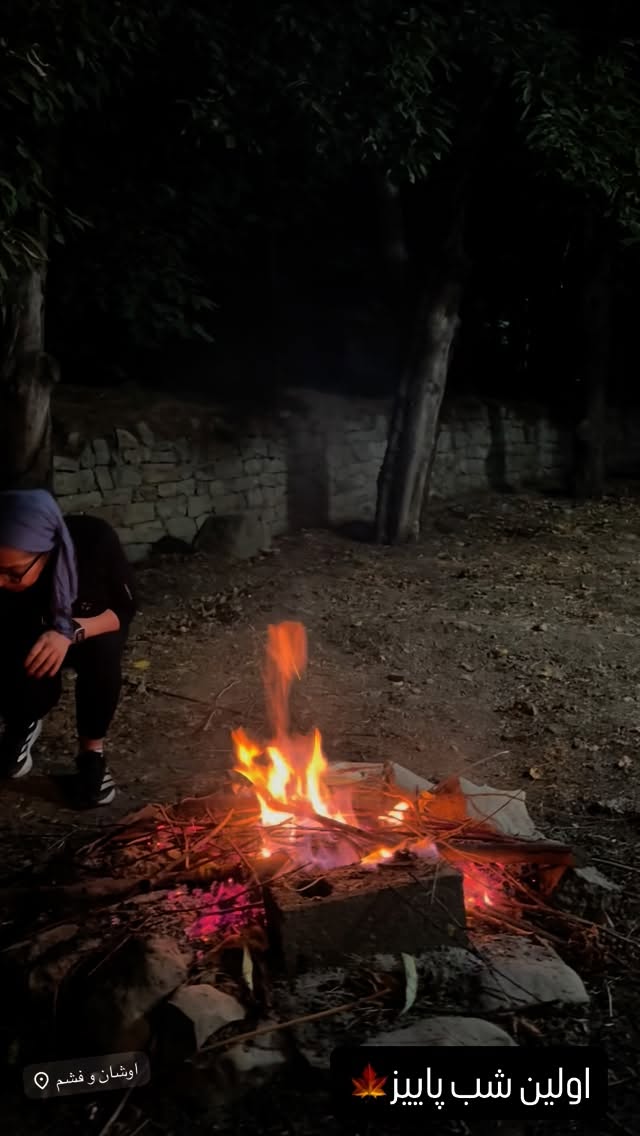  جدید ترین استوری اینستاگرام لاله صبوری