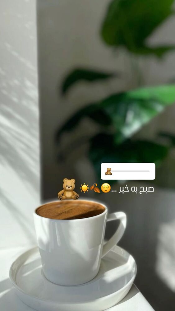  جدید ترین استوری اینستاگرام لاله صبوری