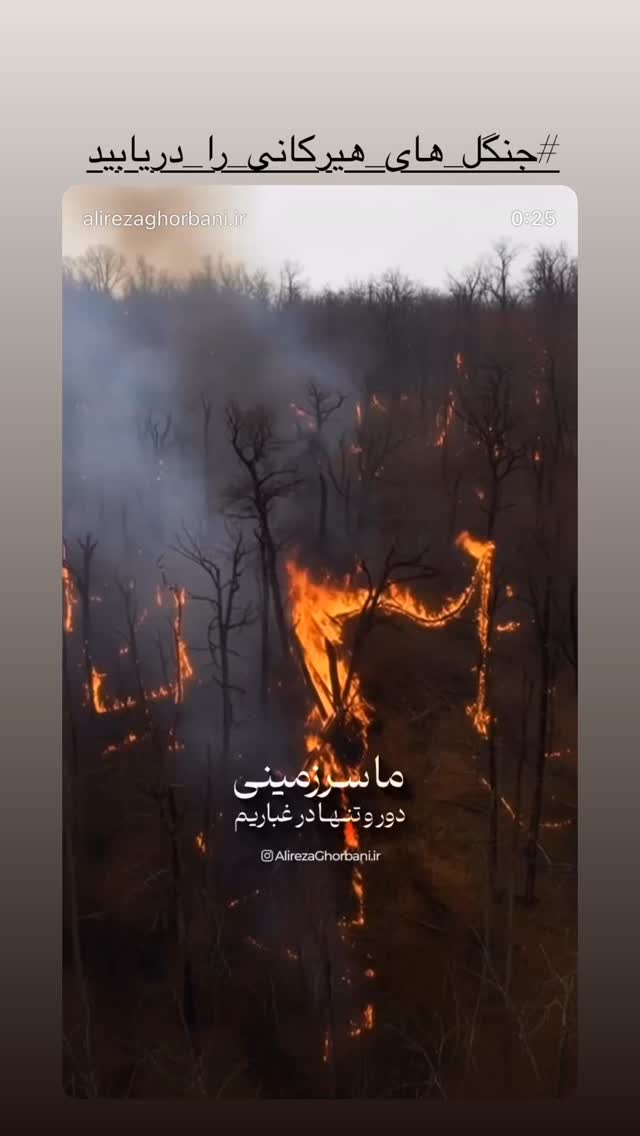  جدید ترین استوری اینستاگرام لاله اسکندری