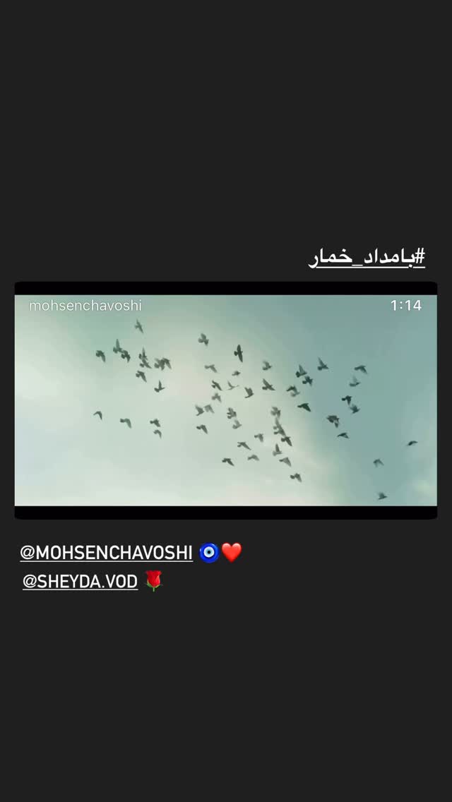  جدید ترین استوری اینستاگرام لاله اسکندری