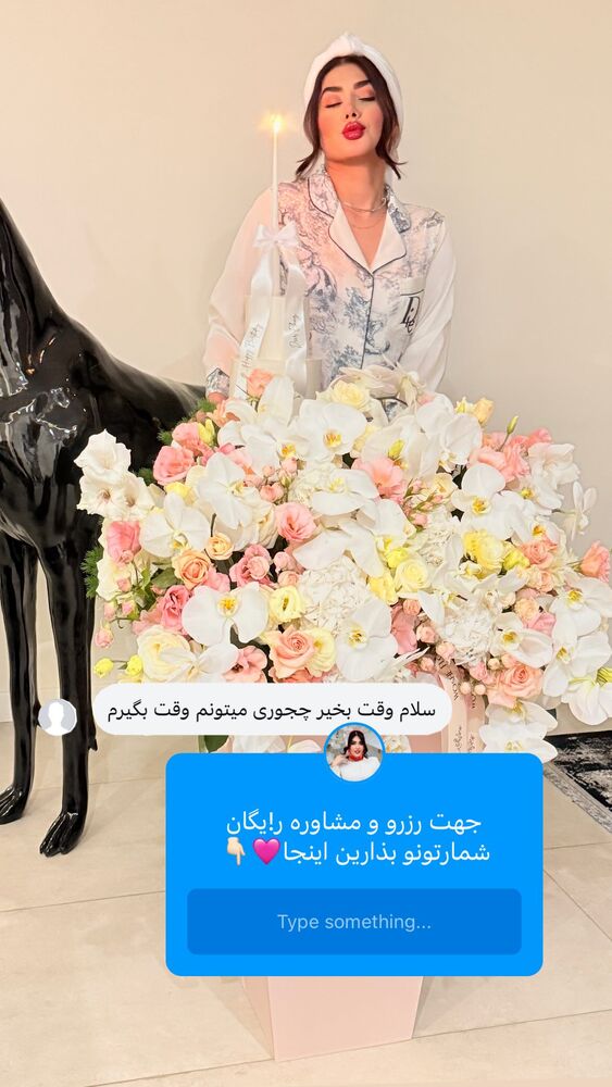  جدید ترین استوری اینستاگرام الناز شمی