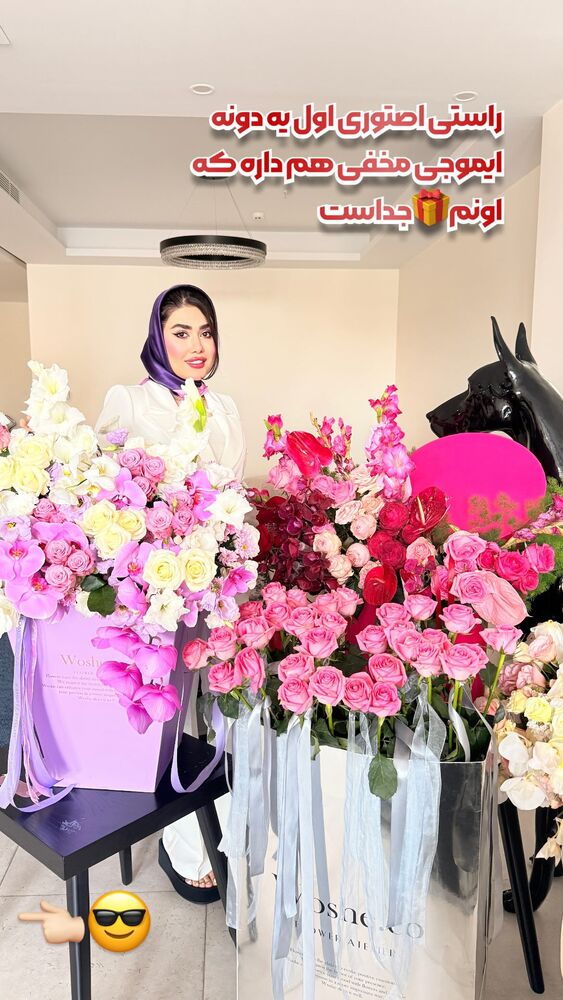  جدید ترین استوری اینستاگرام الناز شمی
