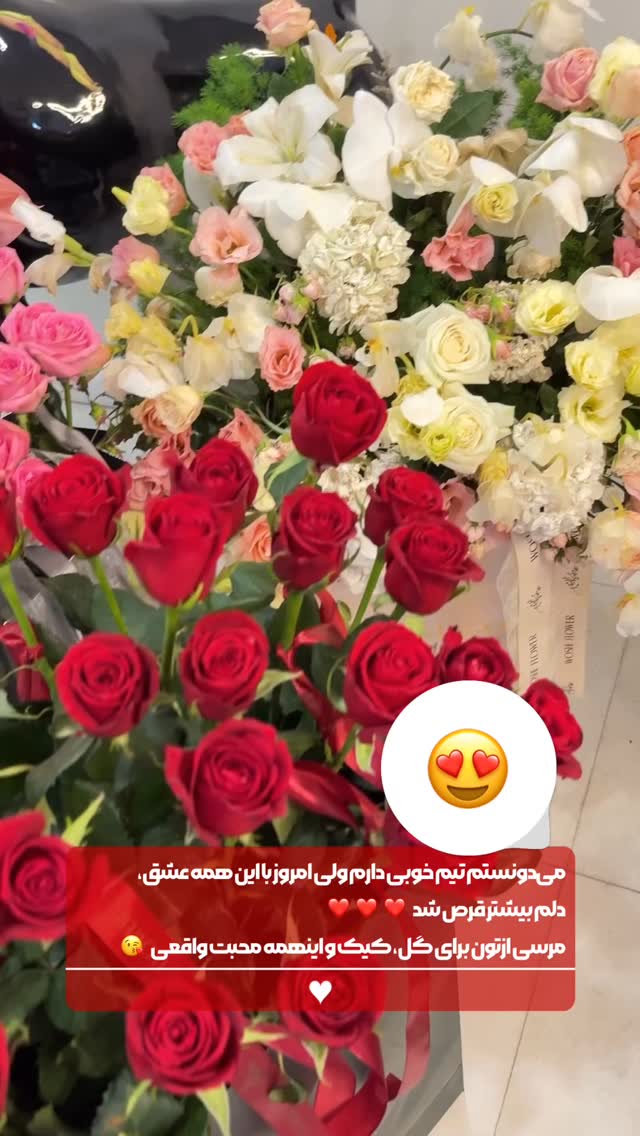 جدید ترین استوری اینستاگرام الناز شمی