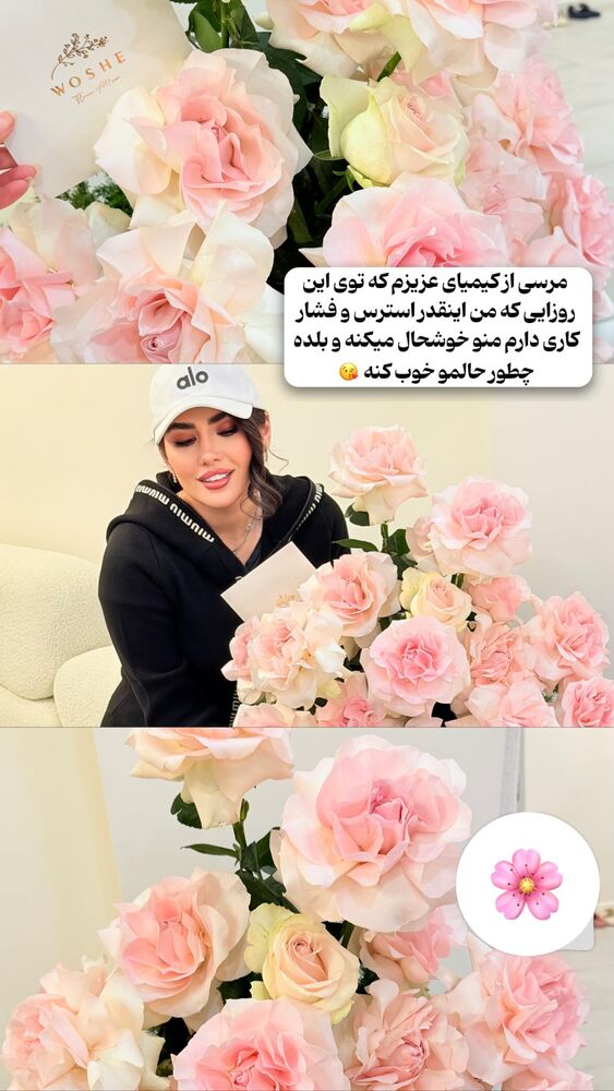  جدید ترین استوری اینستاگرام الناز شمی