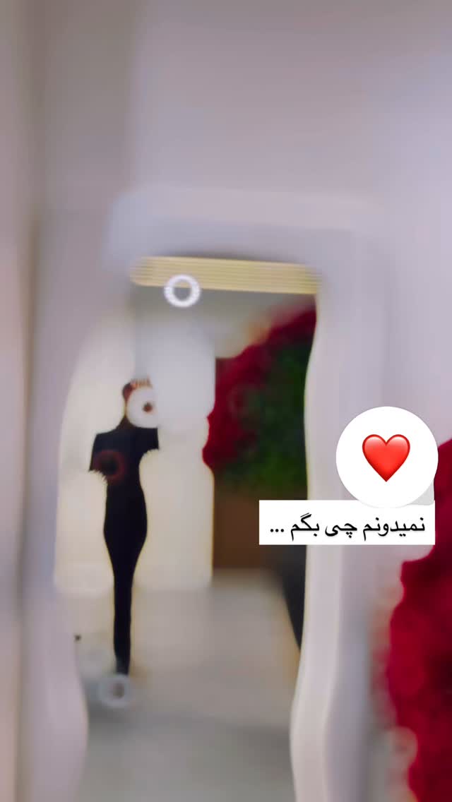  جدید ترین استوری اینستاگرام الناز شمی