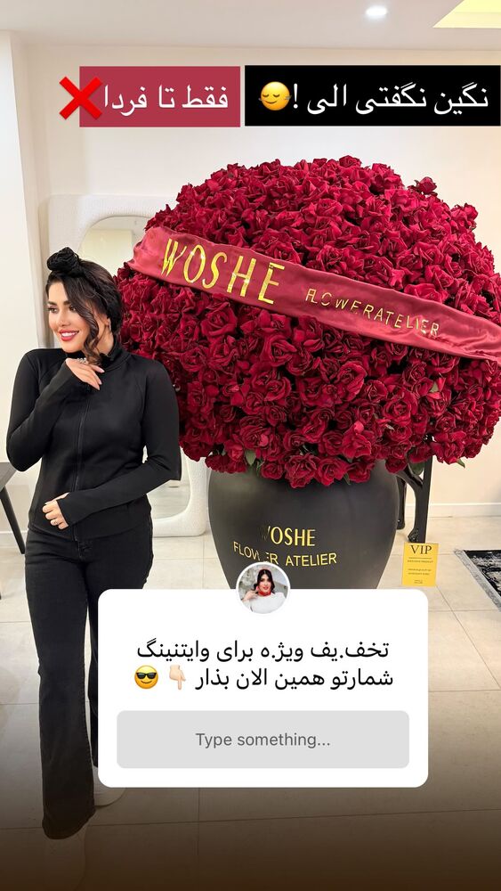  جدید ترین استوری اینستاگرام الناز شمی