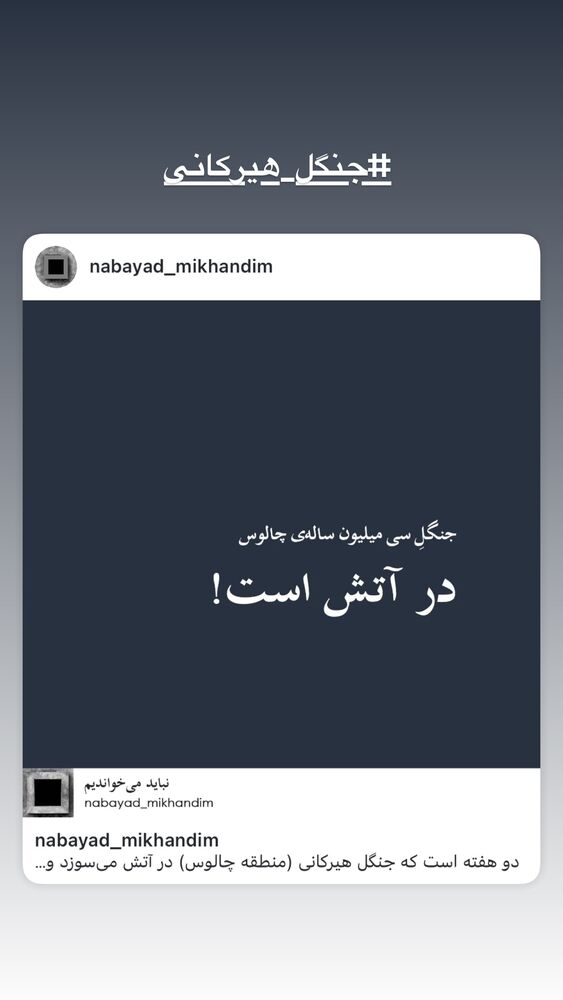 جدید ترین استوری اینستاگرام ليلا برخوردارى