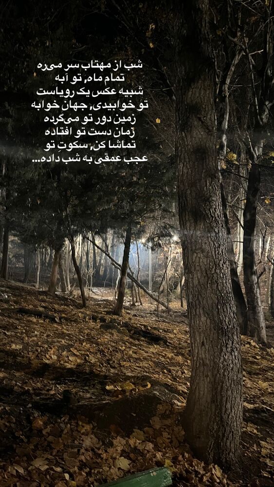  جدید ترین استوری اینستاگرام ليلا برخوردارى
