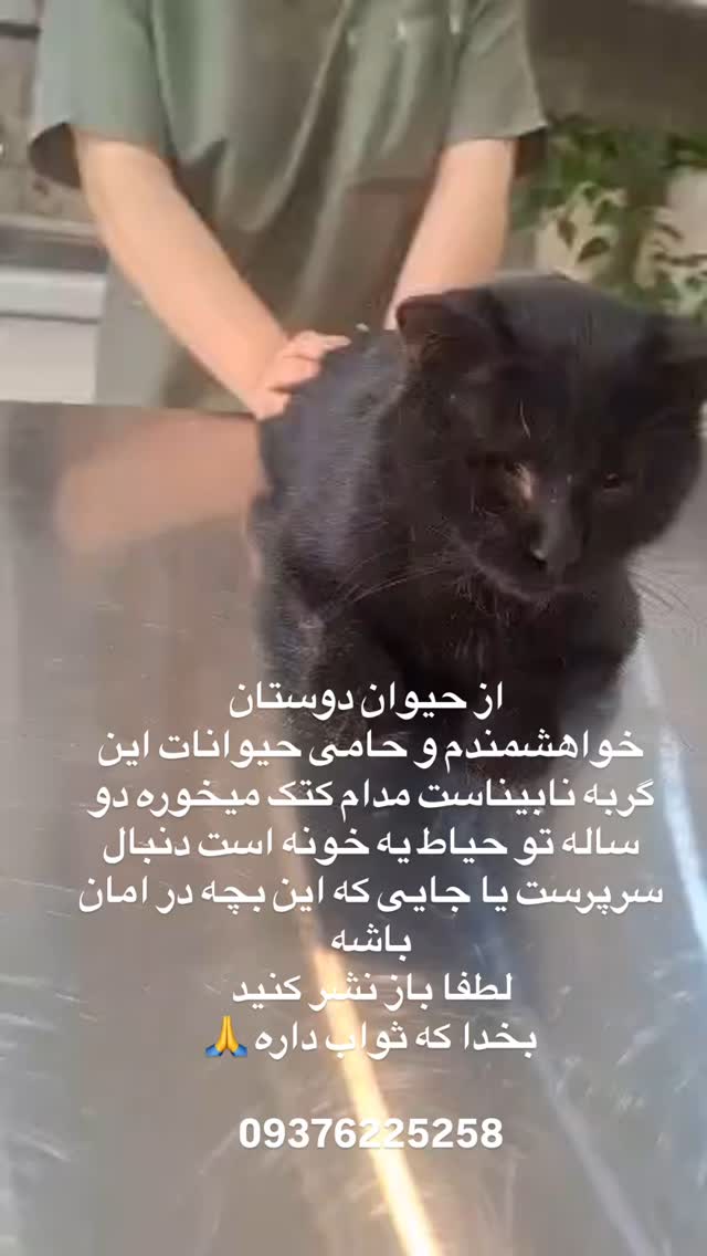  جدید ترین استوری اینستاگرام لیلا بلوکات