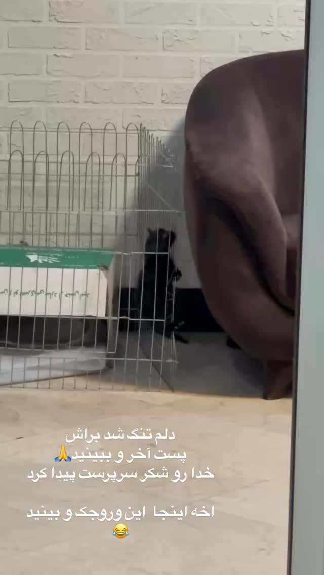 جدید ترین استوری اینستاگرام لیلا بلوکات