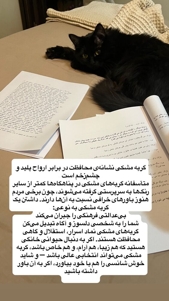  جدید ترین استوری اینستاگرام لیلا بلوکات