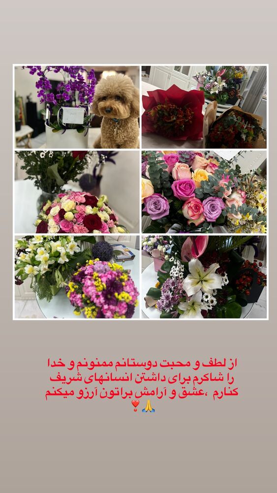  جدید ترین استوری اینستاگرام لیلا بلوکات