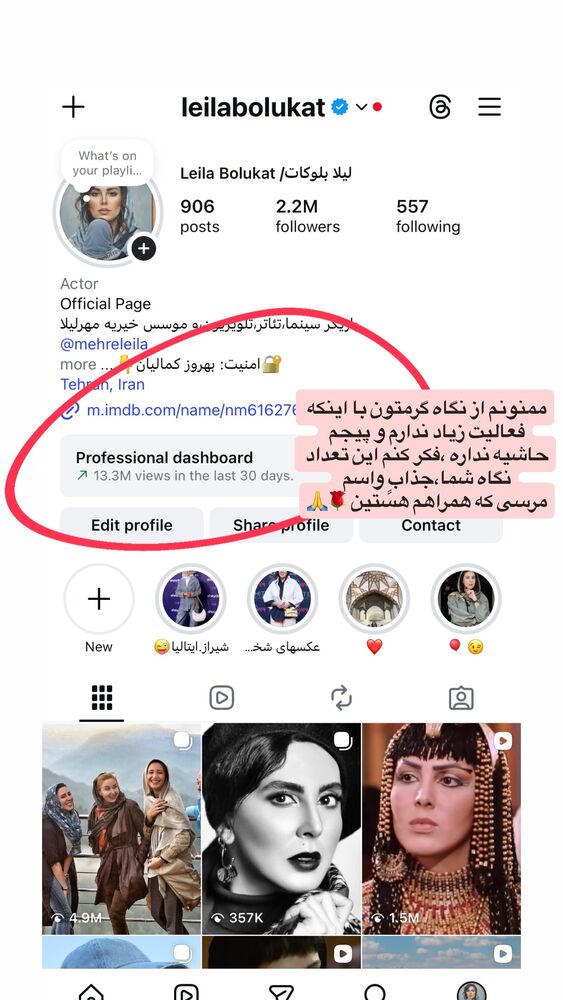  جدید ترین استوری اینستاگرام لیلا بلوکات