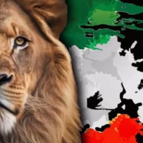  عکس پروفایل اینستاگرام لیلا اوتادی / leilaotadii