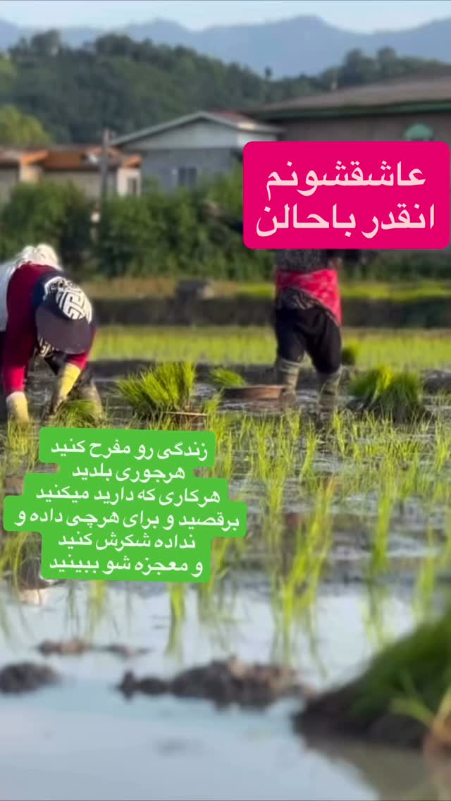  جدید ترین استوری اینستاگرام لیلا اوتادی
