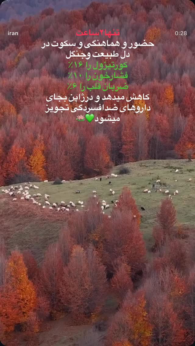  جدید ترین استوری اینستاگرام لیلا اوتادی