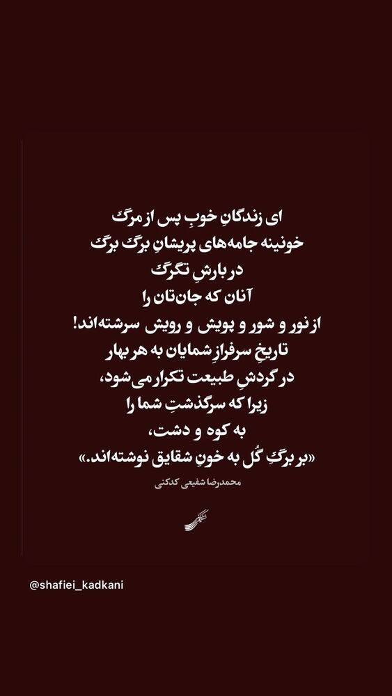  جدید ترین استوری اینستاگرام لیلا زارع