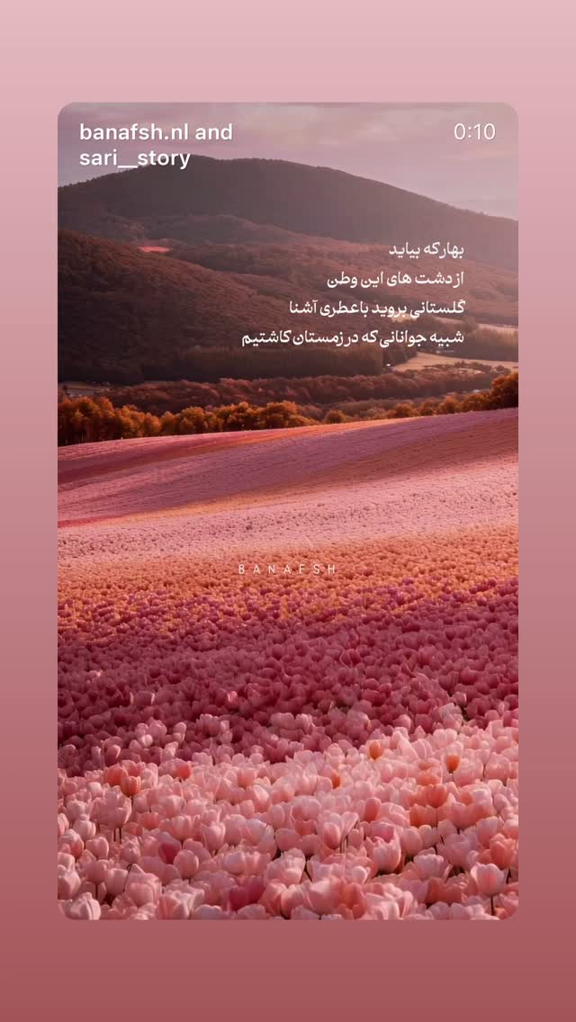  جدید ترین استوری اینستاگرام لیلا زارع