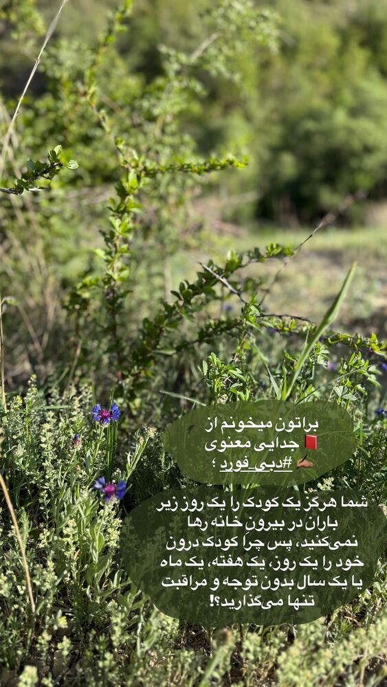  جدید ترین استوری اینستاگرام لیلی زمردیان
