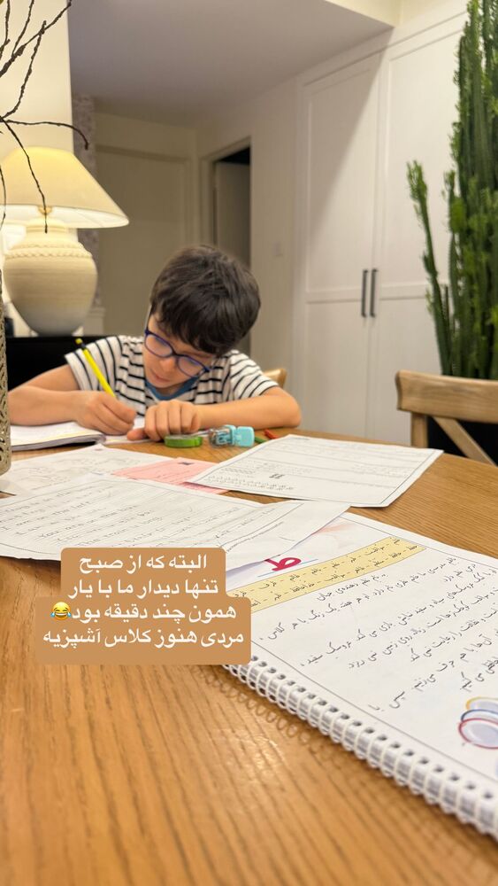 جدید ترین استوری اینستاگرام لیلی زمردیان