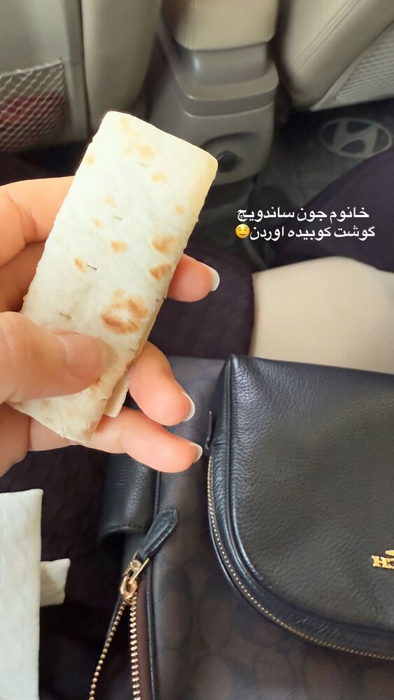  جدید ترین استوری اینستاگرام لیلی زمردیان